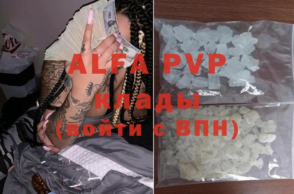 PSILOCYBIN Балахна