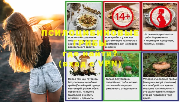 PSILOCYBIN Балахна
