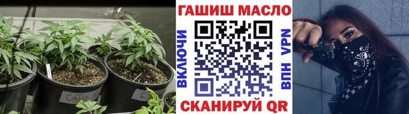 где купить наркоту Камызяк OMG сайт ТГК гашишное масло