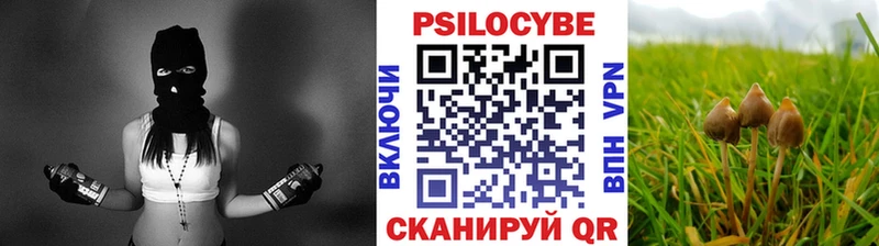 Галлюциногенные грибы мицелий darknet официальный сайт Камызяк